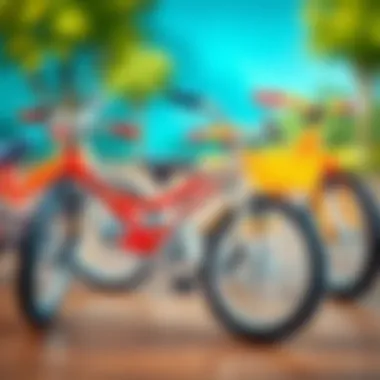 Different types of children’s bicycles arranged for comparison.