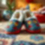 Cozy pair of slippers for boys